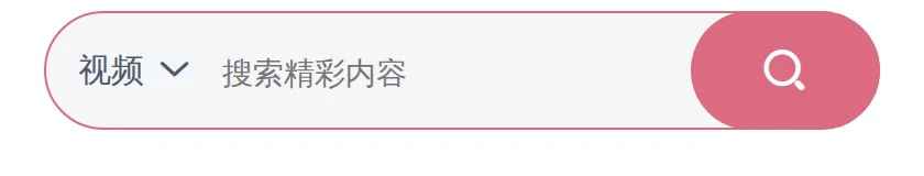 17RIP官网搜索组件：左侧类目下拉、中间搜索输入框与右侧的搜索按钮